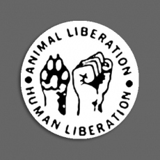 ANIMAL LIBERATION - Badge 138