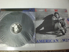 THE LEWD - American Wino LP
