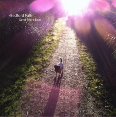 BEDFORD FALLS - Send More Bees (Ltd. Col. Vinyl) LP w/CD