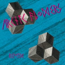 ARCTIC FLOWERS - Remix LP (IMPORT)