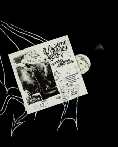 NOHZ - Slumber Between Rotten Walls LP