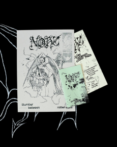 NOHZ - Slumber Between Rotten Walls LP