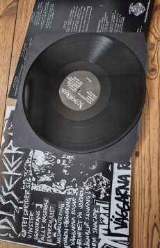 DISSEKERAD - V�ggarna Rasar LP